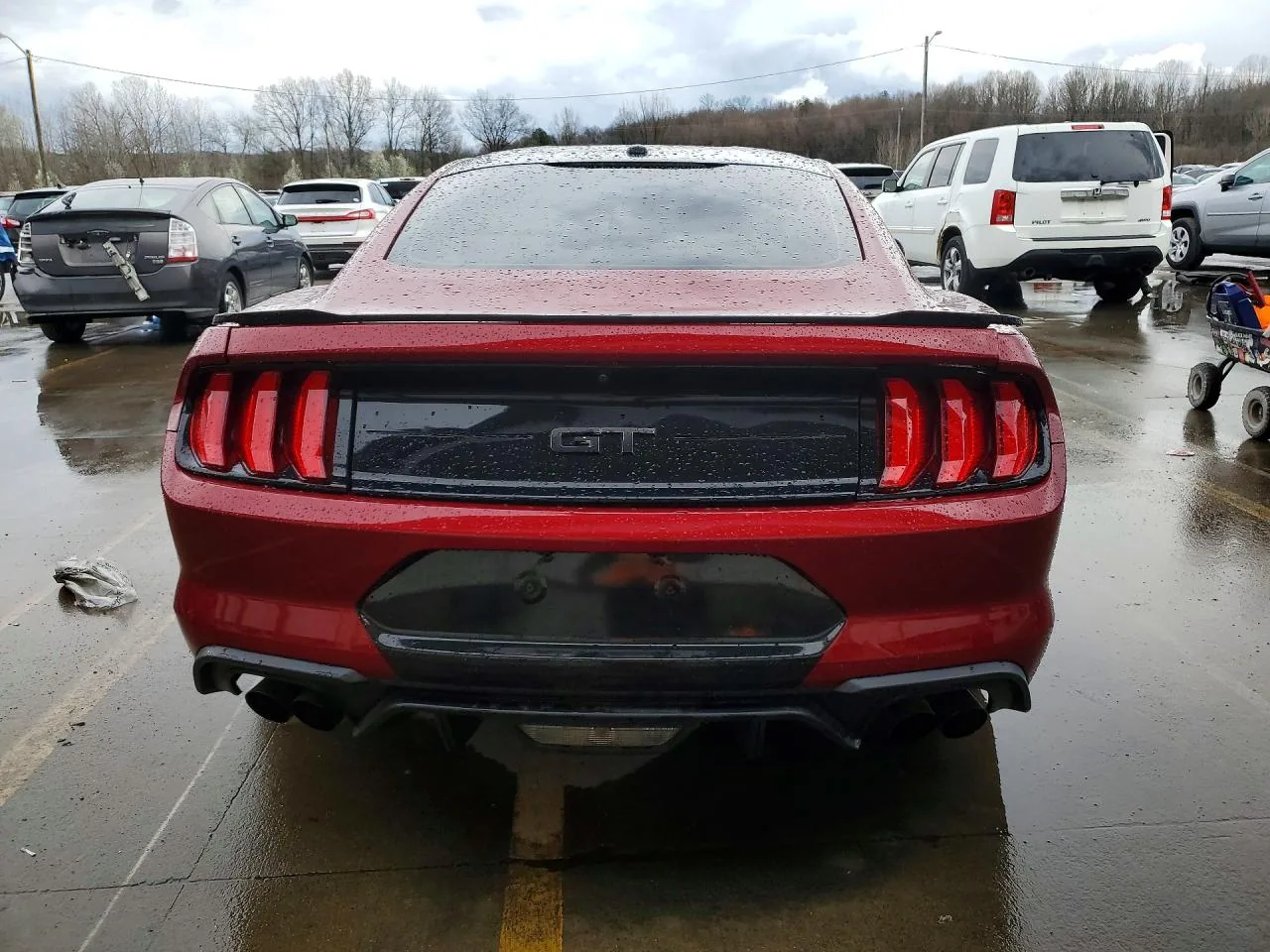2019 Ford MUSTANG GT