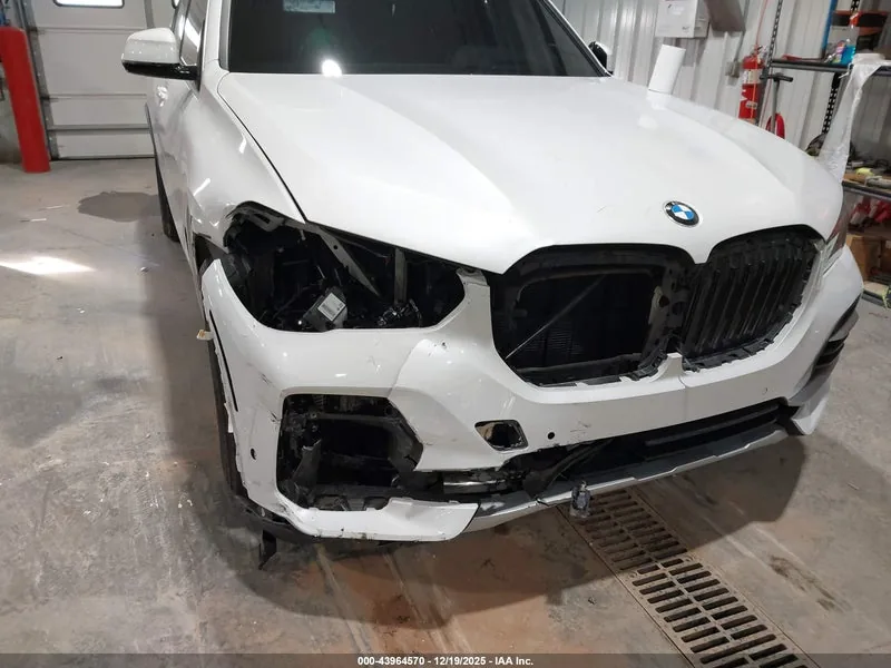 2022 BMW X5 Lot #43964570 thumbnail 6