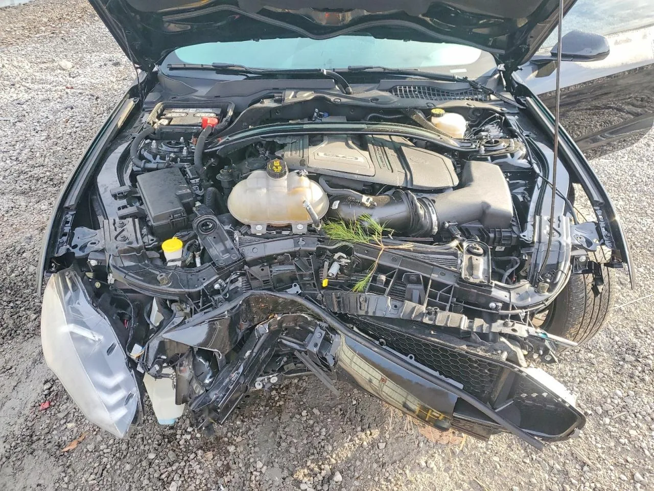 2019 Ford MUSTANG GT Lot #46575436 thumbnail 4