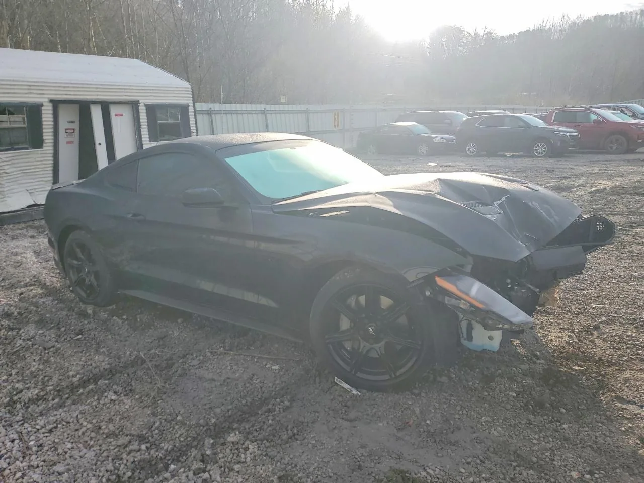 2019 Ford MUSTANG GT