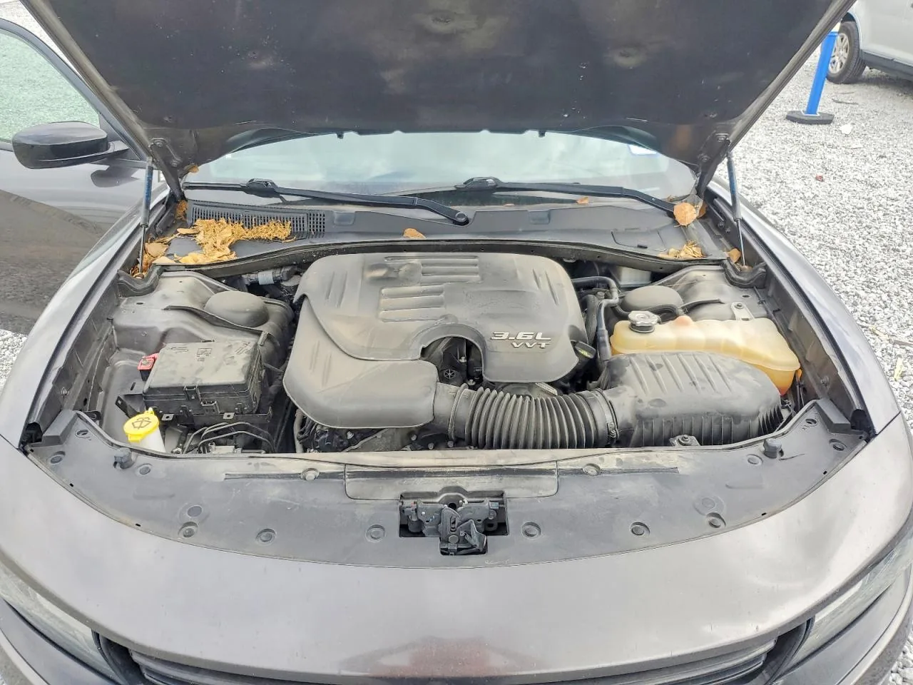 2019 Dodge CHARGER SXT Lot #48017066 thumbnail 3