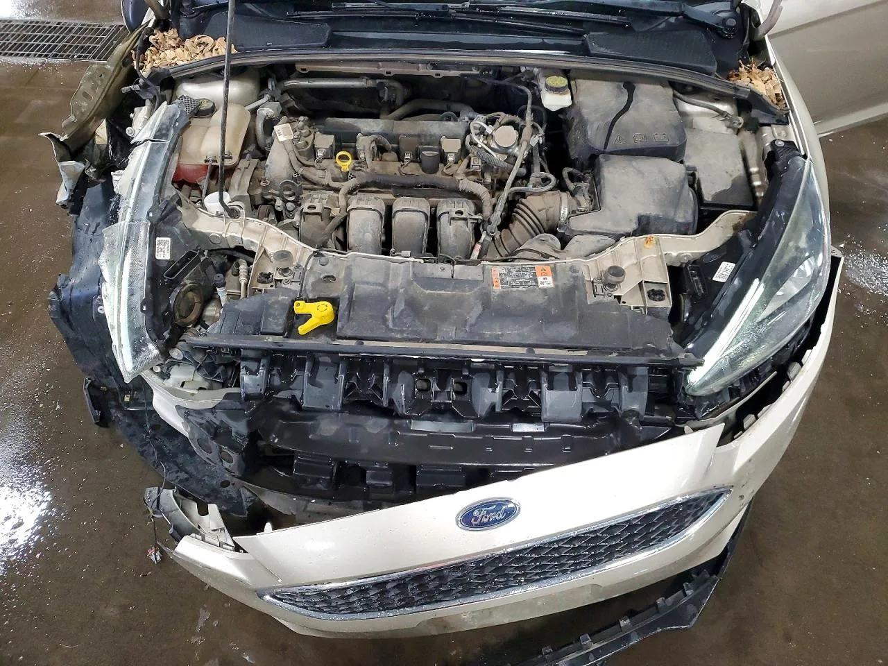 2017 Ford FOCUS SEL Lot #49091146 thumbnail 5