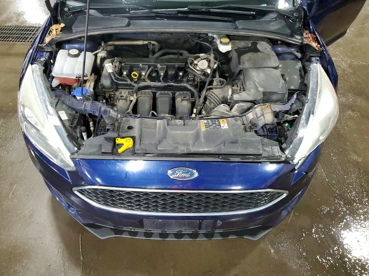 2017 Ford FOCUS SEL Lot #49165516 thumbnail 8