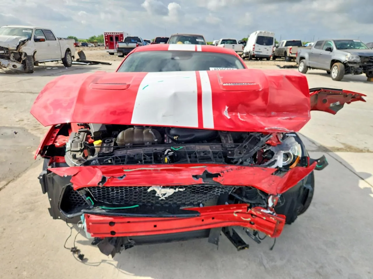 2019 Ford MUSTANG GT