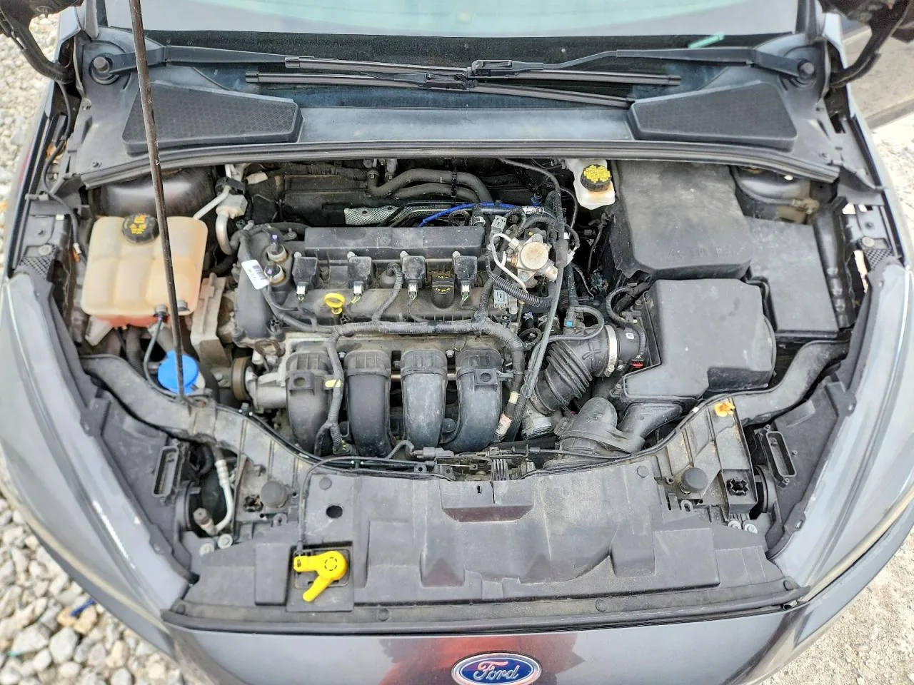 2017 Ford FOCUS SEL Lot #50648136 thumbnail 6