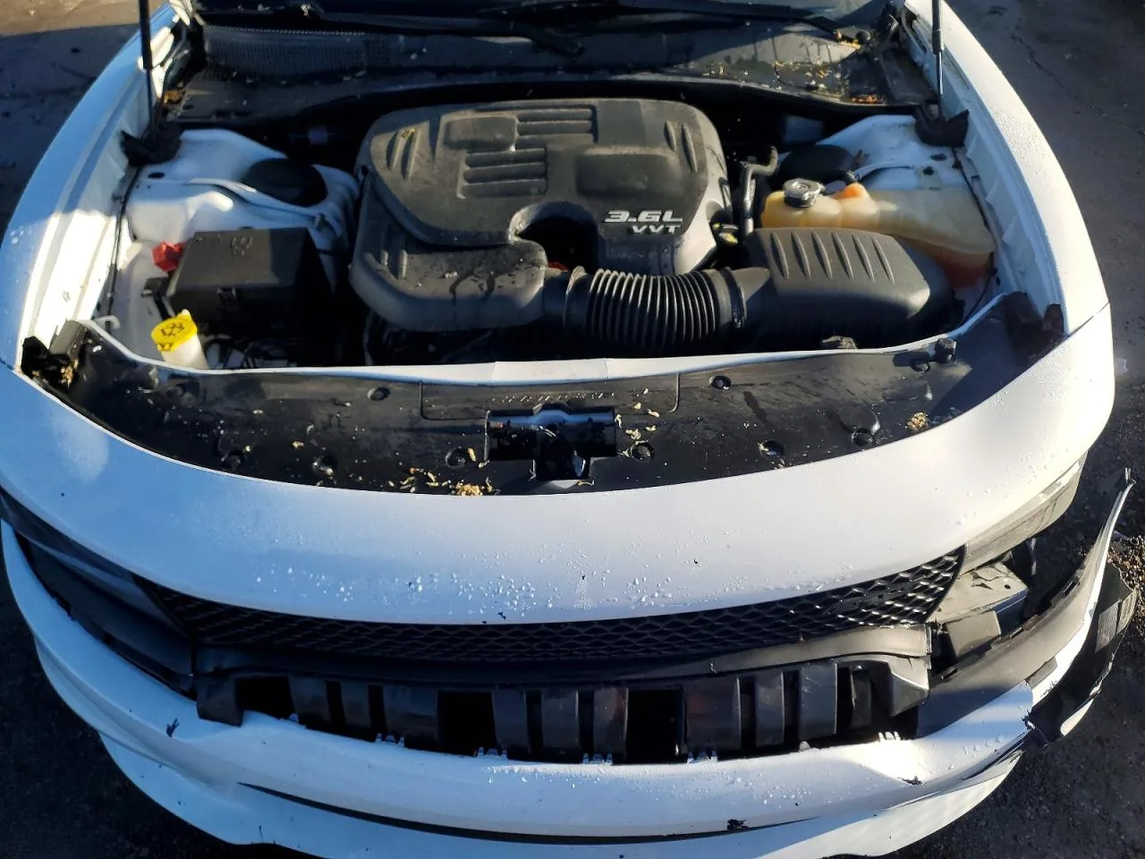 2018 Dodge CHARGER SXT Lot #50963756 thumbnail 4