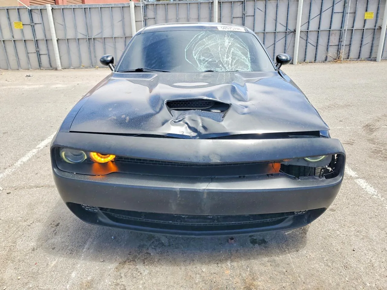 2019 Dodge CHALLENGER R Lot #50975746 thumbnail 6
