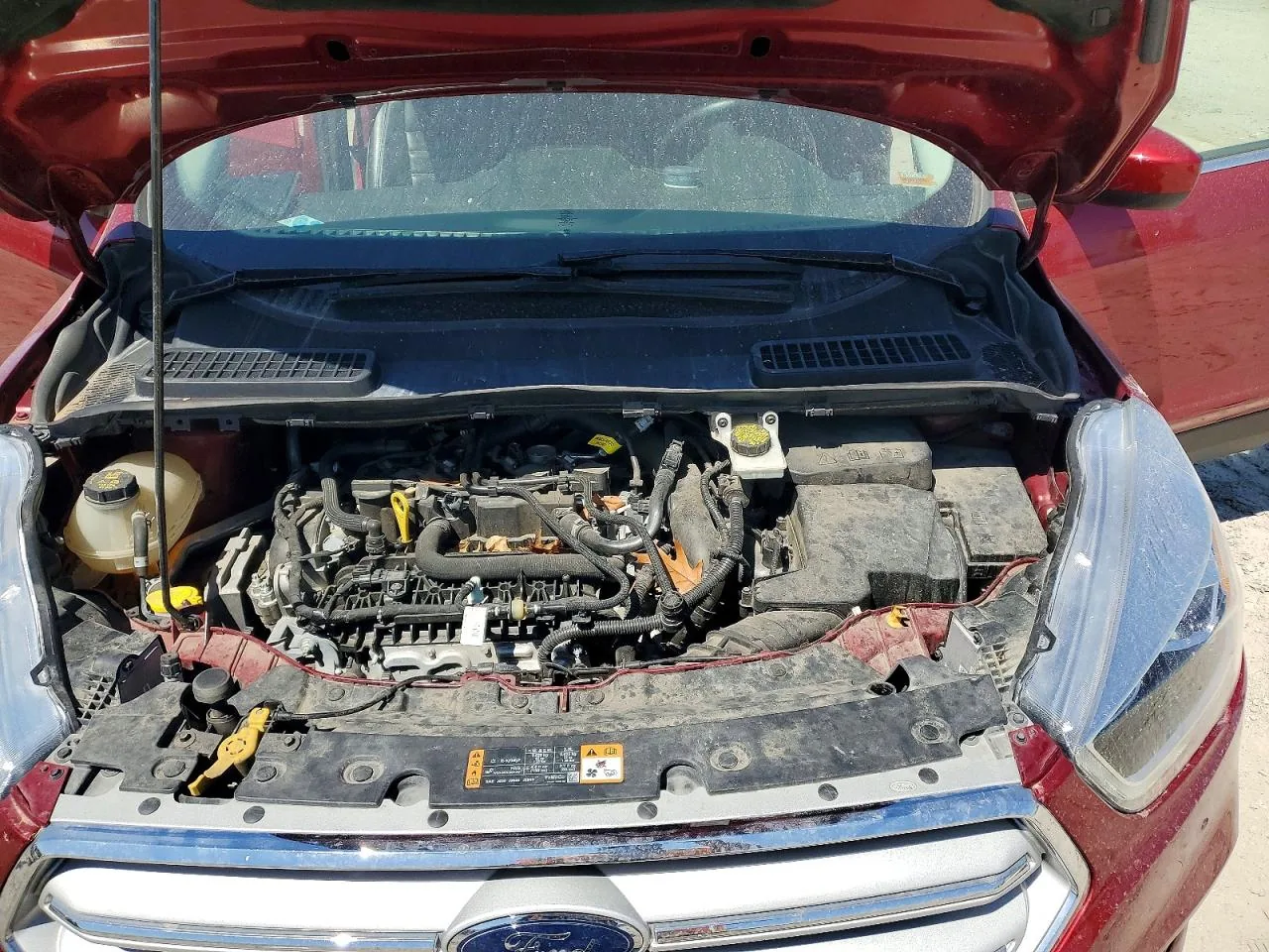 2019 Ford ESCAPE SEL