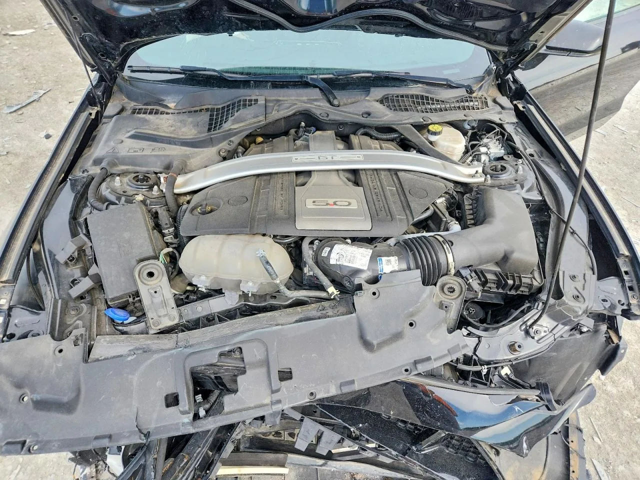 2020 Ford MUSTANG GT Lot #52203016 thumbnail 11