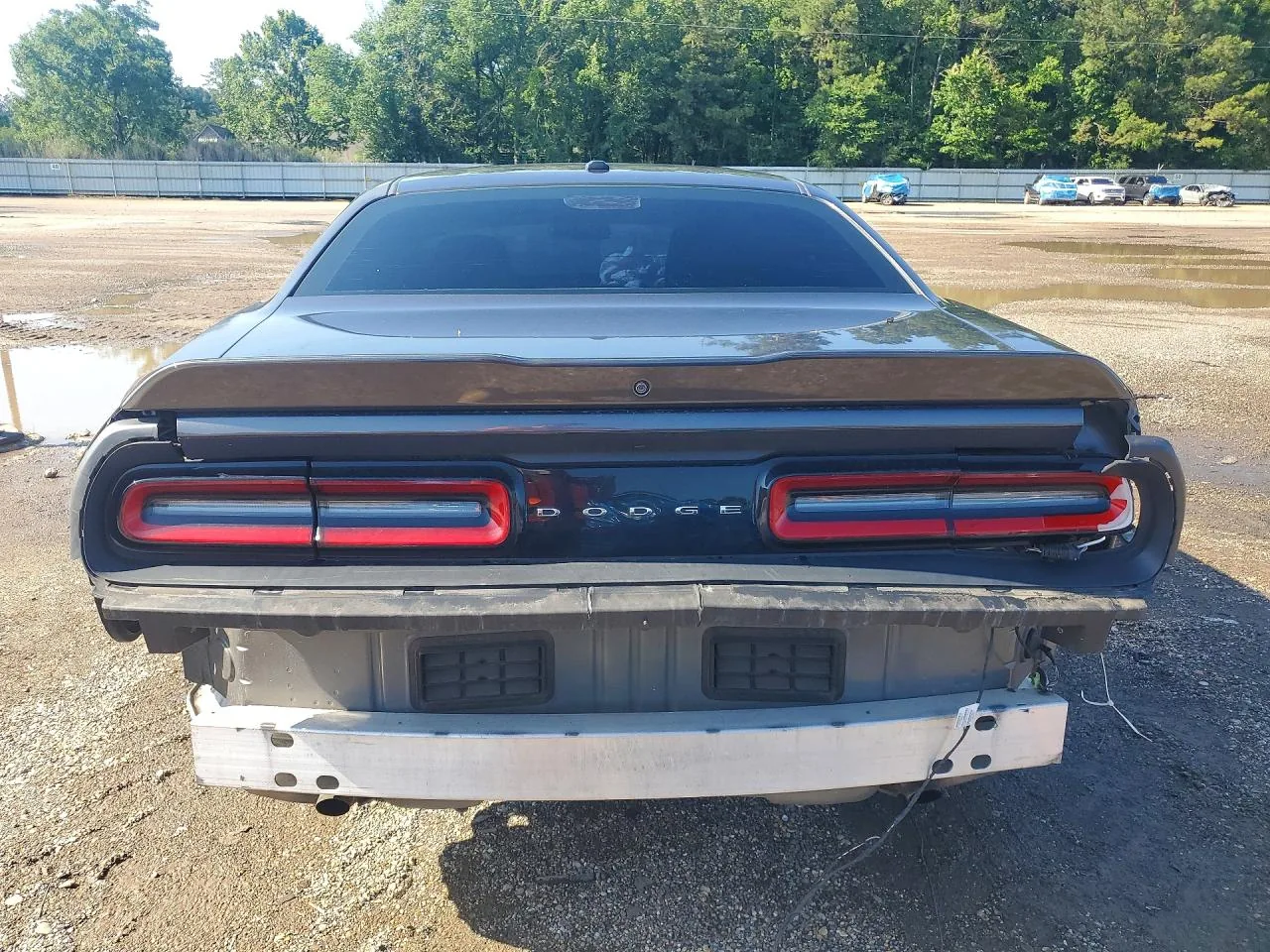 2019 Dodge CHALLENGER SXT Lot #52926246 thumbnail 7