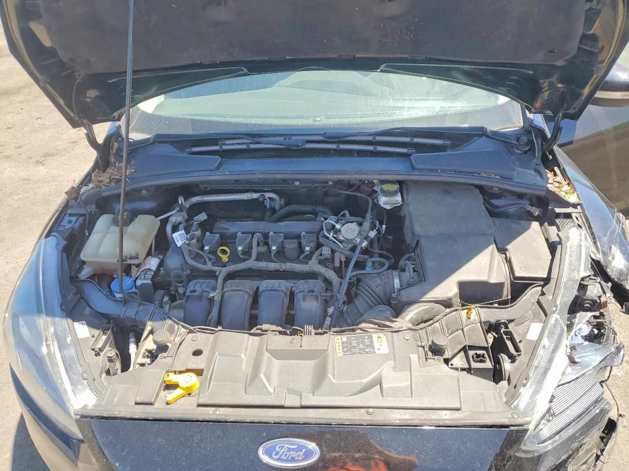 2018 Ford FOCUS SEL Lot #53034546 thumbnail 9