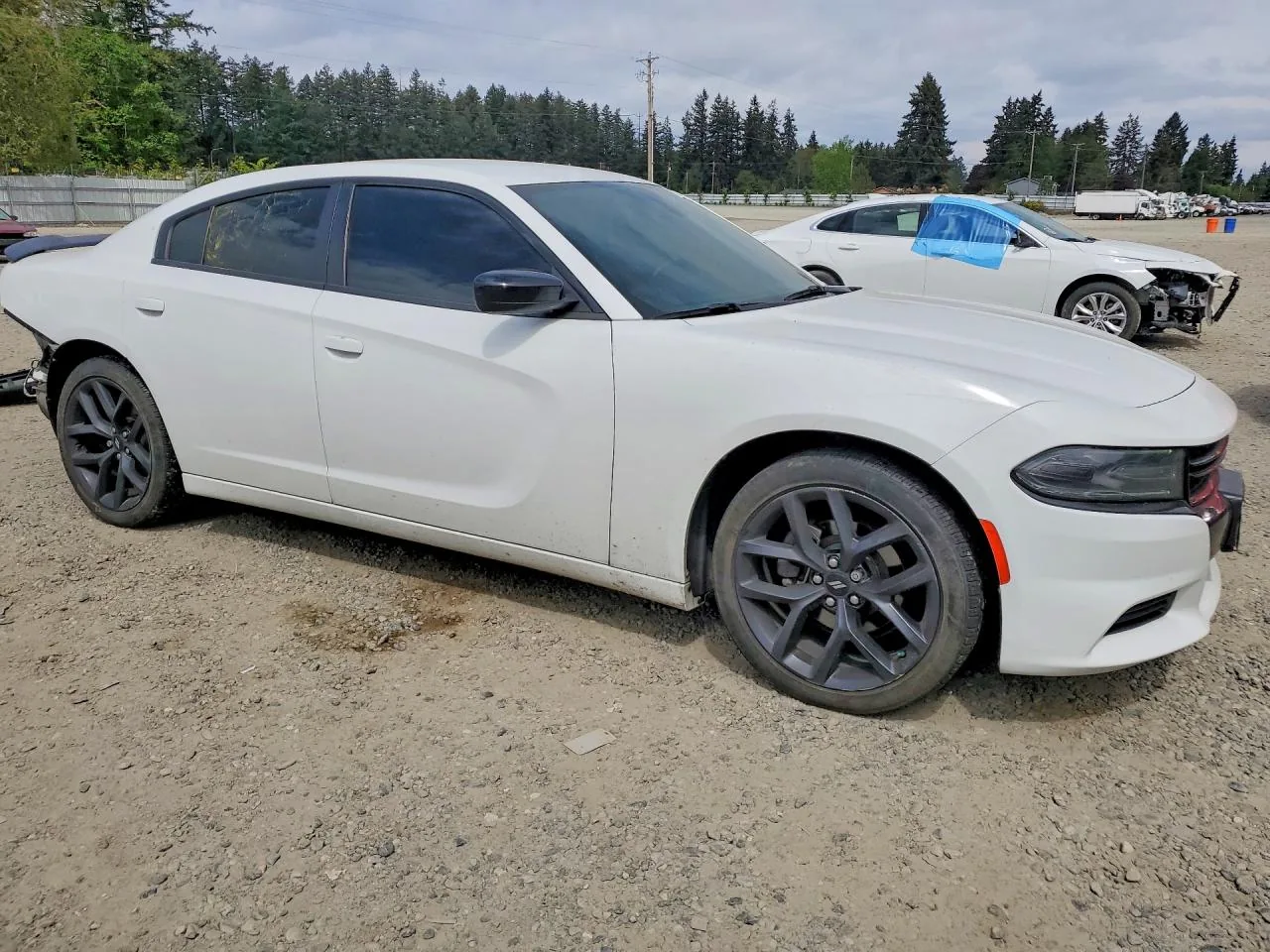 2019 Dodge CHARGER SXT Lot #53064596 thumbnail 9