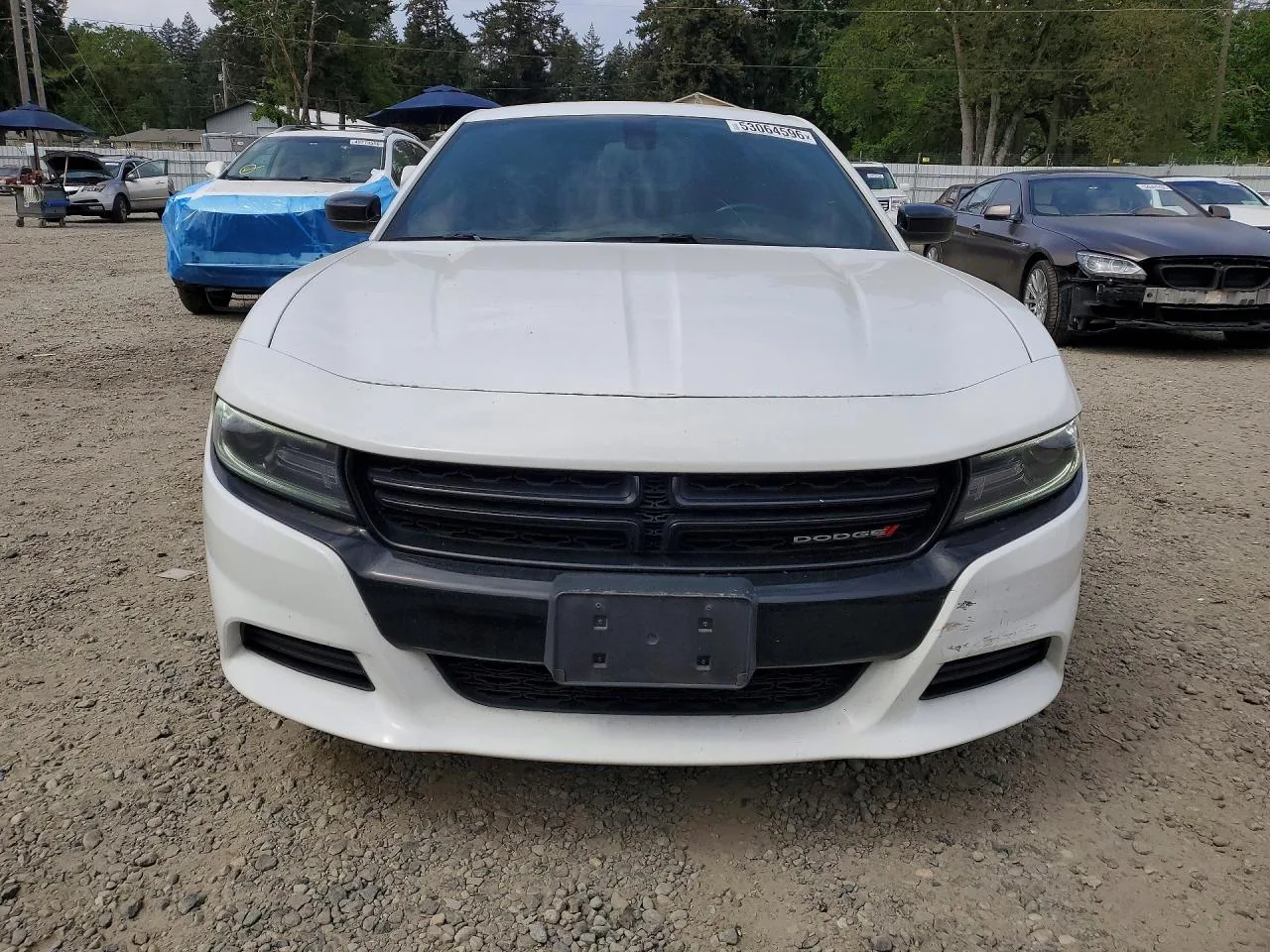 2019 Dodge CHARGER SXT Lot #53064596 thumbnail 11