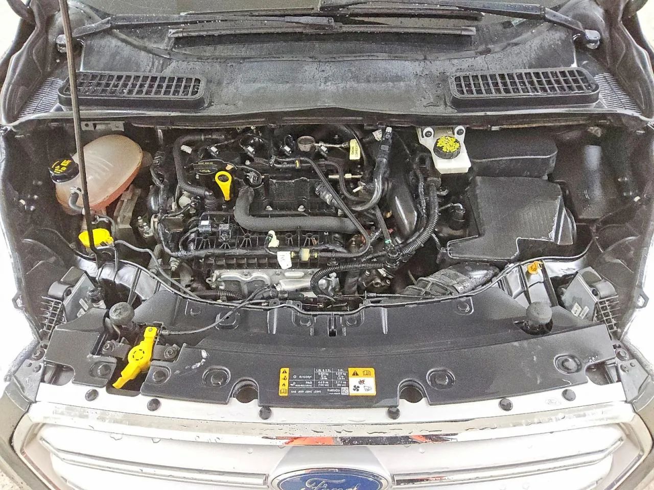 2019 Ford ESCAPE SEL Lot #53603546 thumbnail 10
