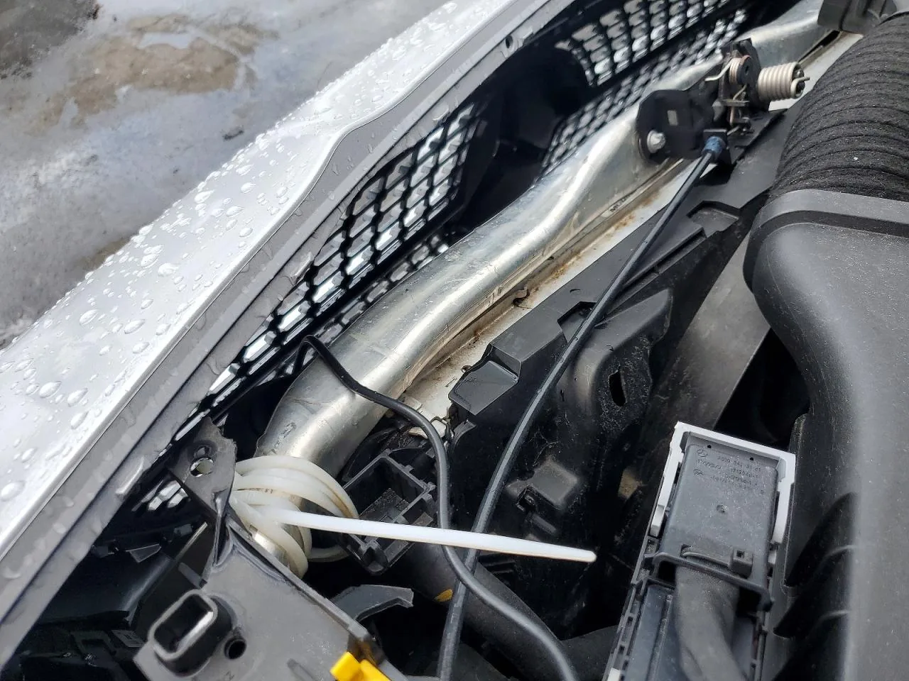 2019 Mercedes-benz CLA 250 Lot #54193446 thumbnail 4