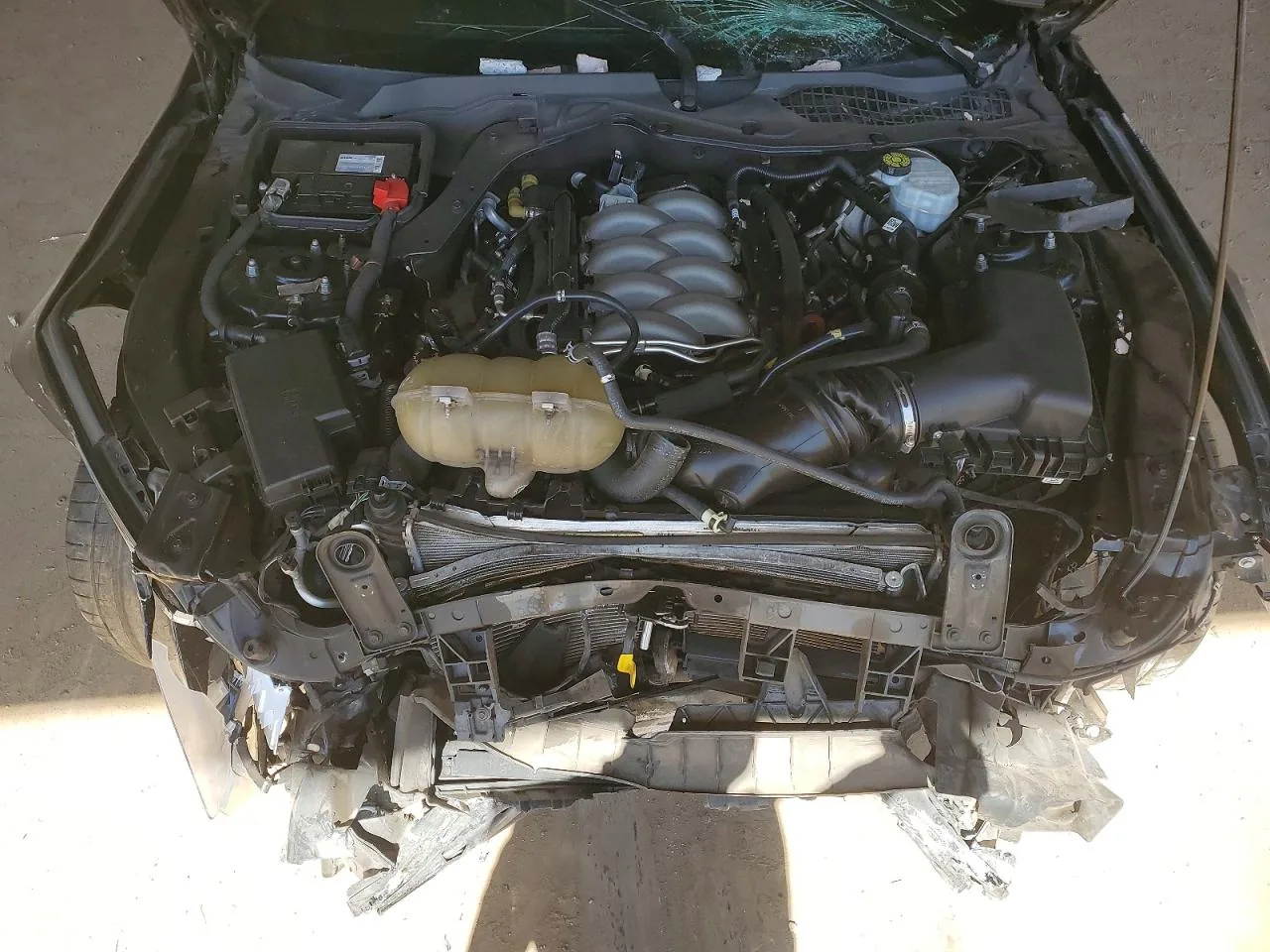 2020 Ford MUSTANG GT Lot #54400506 thumbnail 10