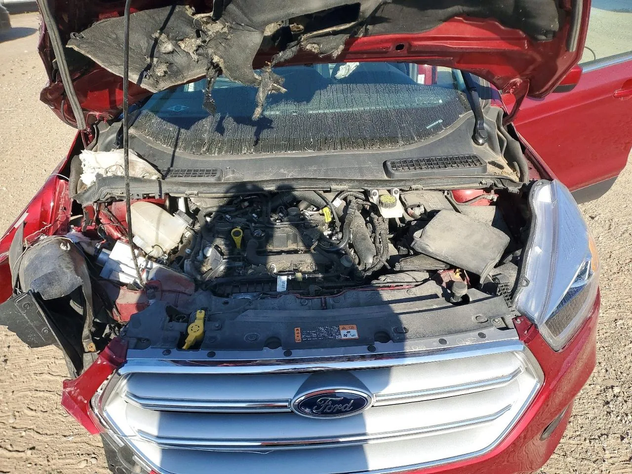 2019 Ford ESCAPE SEL Lot #54984246 thumbnail 5