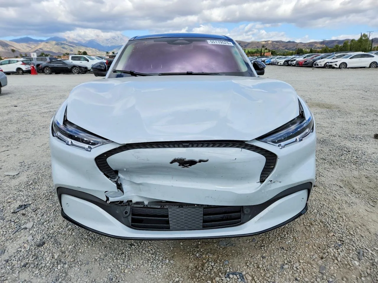 2022 Ford MUSTANG MACH-E CALIFORNIA ROUTE 1 Lot #55119526 thumbnail 5