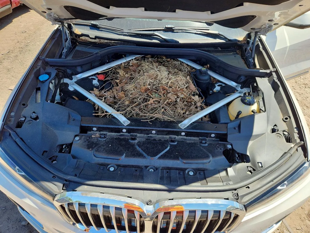 2019 Bmw X7 XDRIVE40I Lot #55190006 thumbnail 6