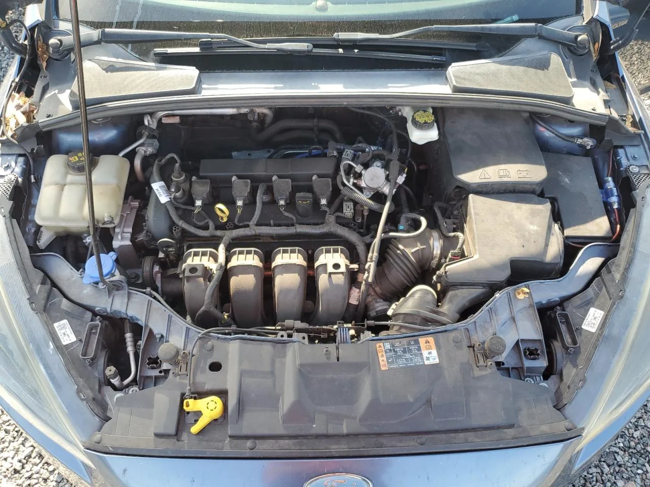 2018 Ford FOCUS SEL Lot #56676256 thumbnail 2