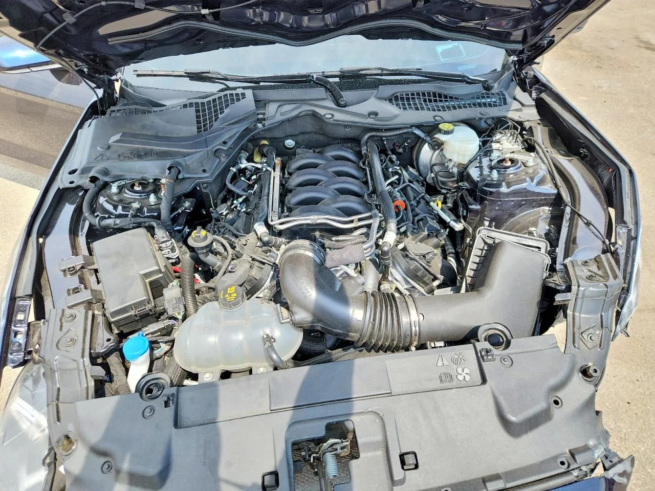 2021 Ford MUSTANG GT Lot #56842376 thumbnail 3