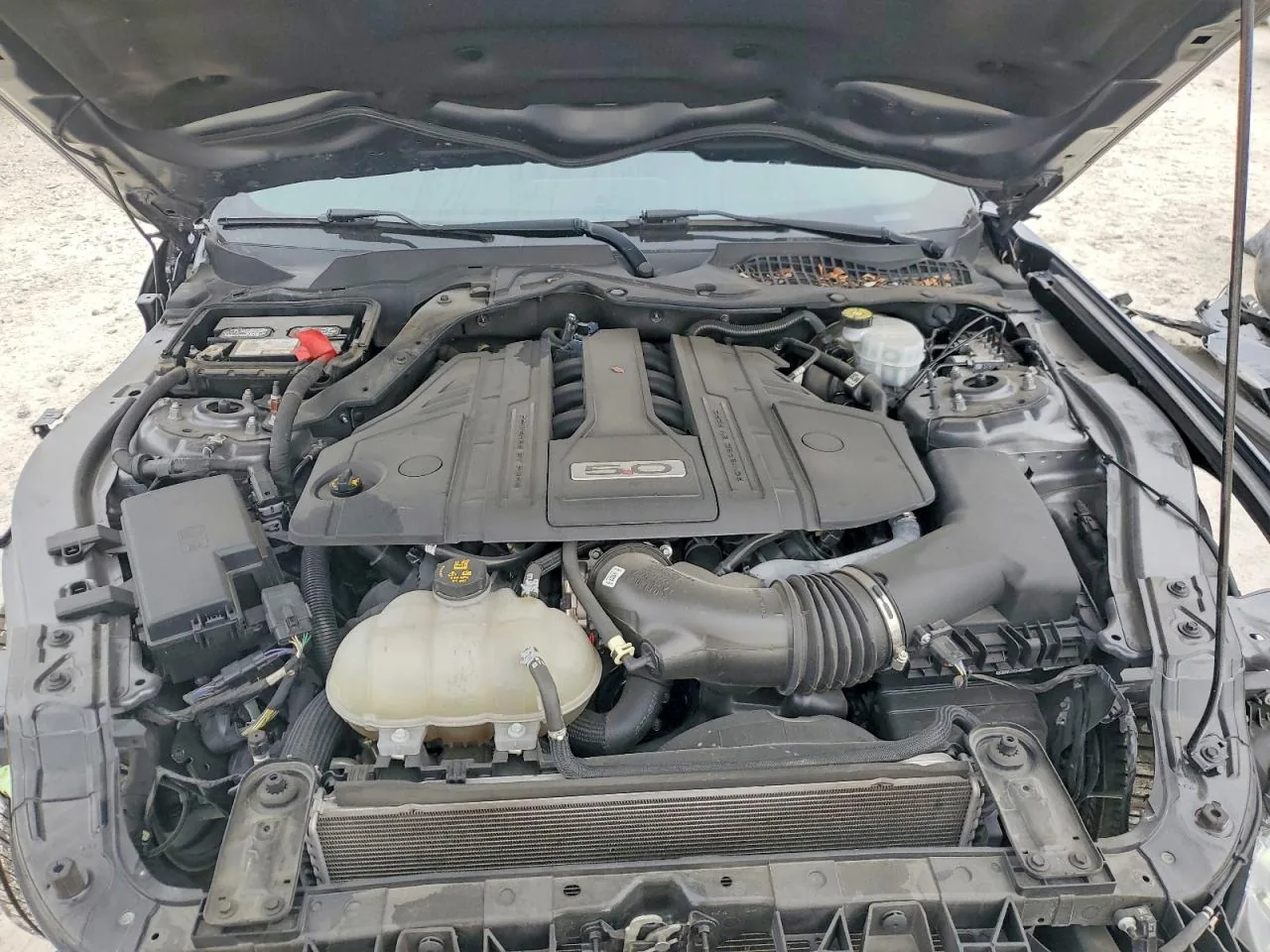 2021 Ford MUSTANG GT Lot #76461885 thumbnail 5