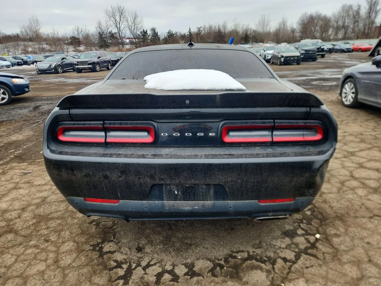 2018 Dodge CHALLENGER R Lot #77372135 thumbnail 10