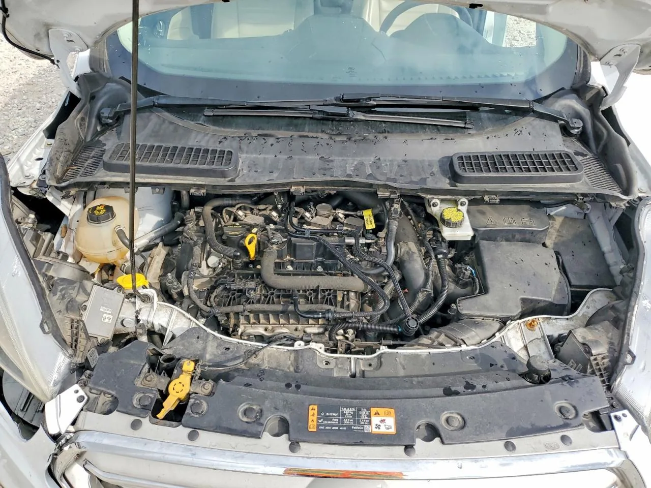 2019 Ford ESCAPE SEL Lot #77954545 thumbnail 10
