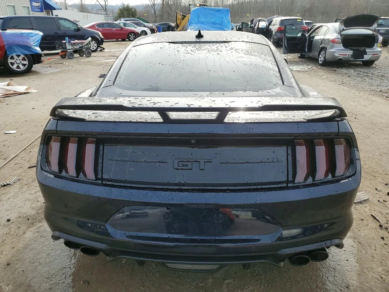 2021 Ford MUSTANG GT Lot #99345715 thumbnail 5